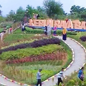 Ini Destinasi Wisata Flora yang Mempesona di Kota Batam