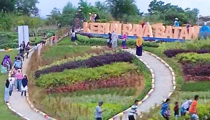 Ini Destinasi Wisata Flora yang Mempesona di Kota Batam