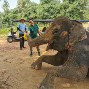 Berkunjung Ke Destinasi Wisata Taman Safari Lagoi Bintan