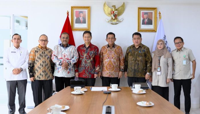 RS Karimun Akan Dikembangkan, Gubernur Ansar Bersama Bupati Karimun Temui Menkes RI
