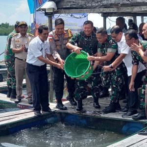 Ketahanan Pangan, Koarmada I Tabur 3.500 Bibit Ikan Kerapu Dan Kakap di Keramba Ikan Tanjungpinang