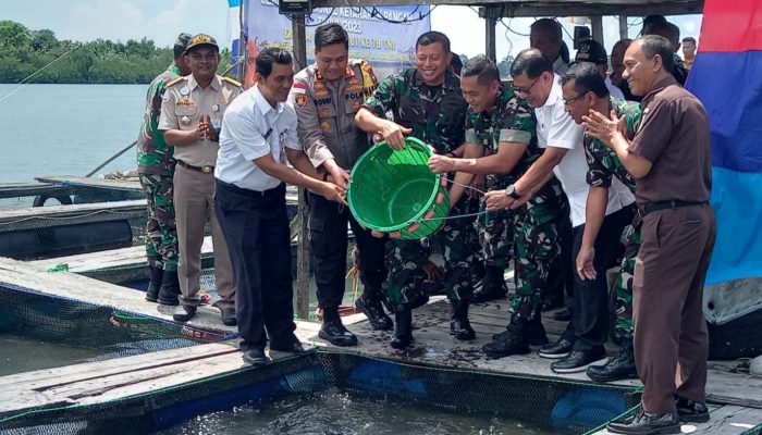 Ketahanan Pangan, Koarmada I Tabur 3.500 Bibit Ikan Kerapu Dan Kakap di Keramba Ikan Tanjungpinang