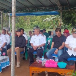 Ketua DPRD Natuna Hadiri Panen Cabai di Desa Air Mali Bunguran Utara