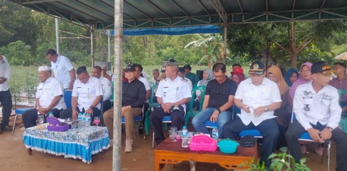 Ketua DPRD Natuna Hadiri Panen Cabai di Desa Air Mali Bunguran Utara