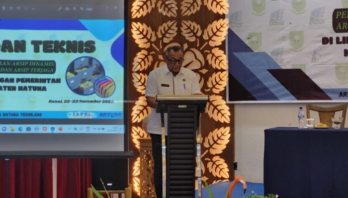 Dinas Perpustakaan dan Kearsipan Natuna Wacanakan 2024 Terapkan Program Srikandi