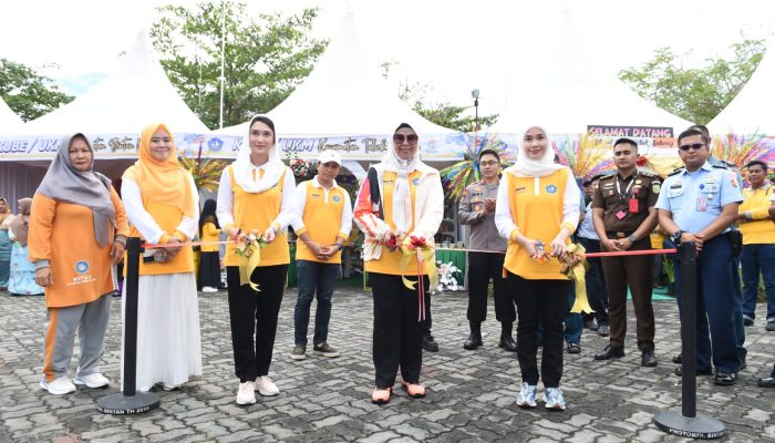 Hari Jadi Ke-75 Kabupaten Bintan dan HKSN, Dewi Ansar Buka Expo Bintan Sejahtera
