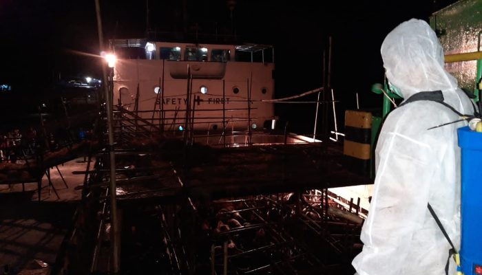 Penuhi Kebutuhan, 600 Sapi Dari NTT Tiba Di Pelabuhan Sri Payung Tanjungpinang