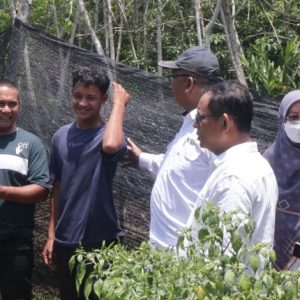 Tinjau Lahan Pertanian, Rasno : Pulau Kundur Berpotensi Intuk Pertanian Dan Perkebunan 