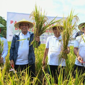 Gubernur Ansar Panen Perdana Padi Program Pembinaan Napi Rutan Kelas 1 Tanjungpinang