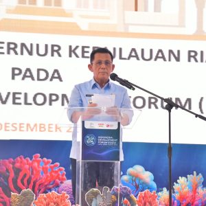 PTDI Kembangkan Ekonomi Biru dengan Pesawat N219 dan N219 Amphibious