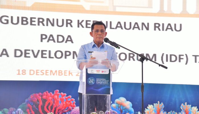 PTDI Kembangkan Ekonomi Biru dengan Pesawat N219 dan N219 Amphibious