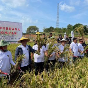 Panen Padi di Lahan Bekas Tambang Bauksit, Mentan : Tolong Produktivitas dan Luasannya Ditingkatkan Lagi