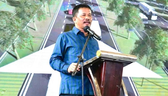 Tarik Investor, BP Batam Tingkatkan Pembangunan Infrastruktur