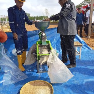 Panen Padi Perdana di Lahan Asimilasi dan Edukasi Napi Rutan Tanjungpinang