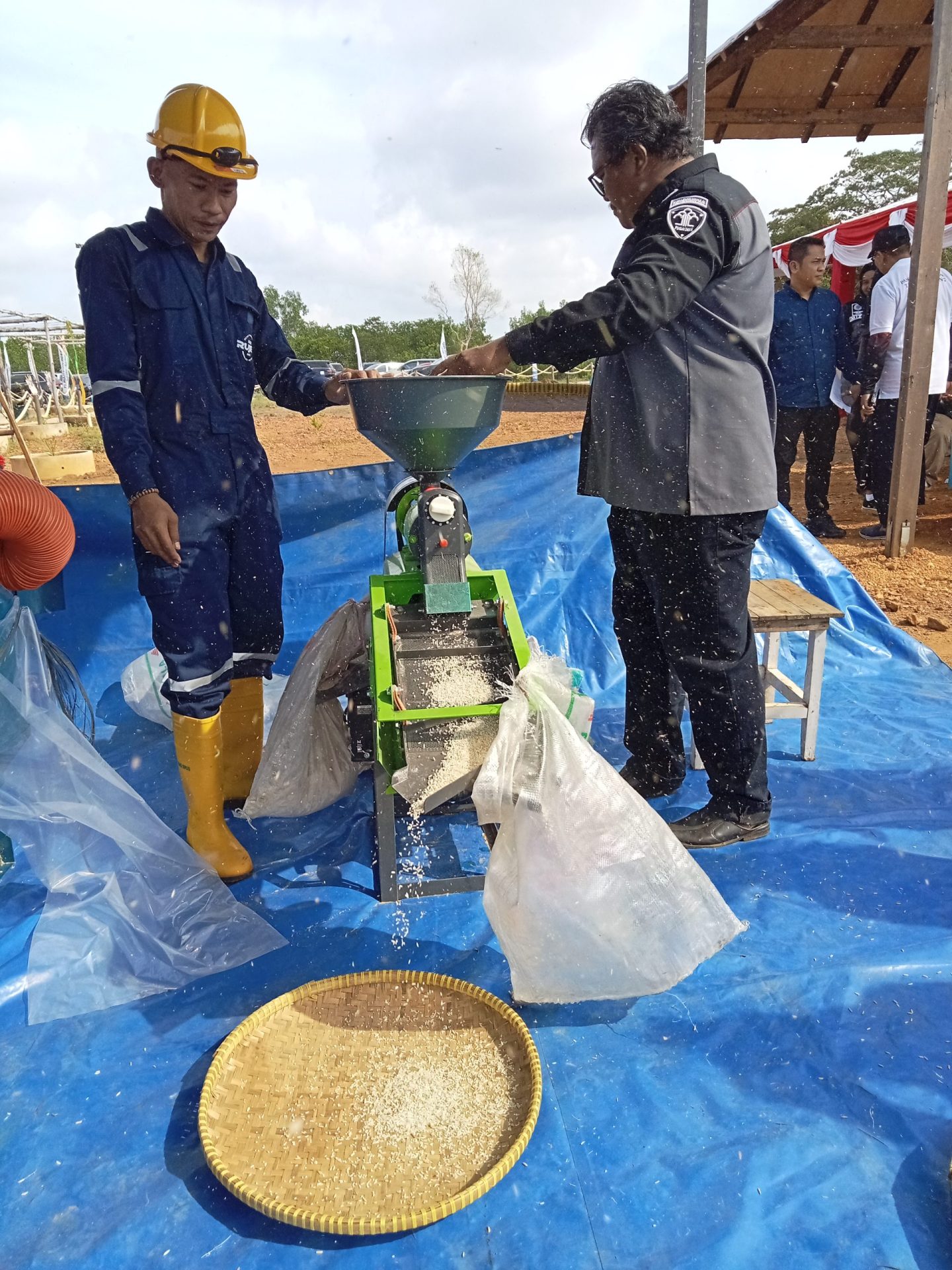 Panen Padi Perdana di Lahan Asimilasi dan Edukasi Napi Rutan Tanjungpinang