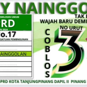 Rony Nainggolan: Tutorial Pilih Wakil Rakyat 14 Februari 2024, Jangan Asal Coblos!