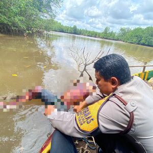 Tim Gabungan Berhasil Evakuasi Mayat Bocah Yang Hilang