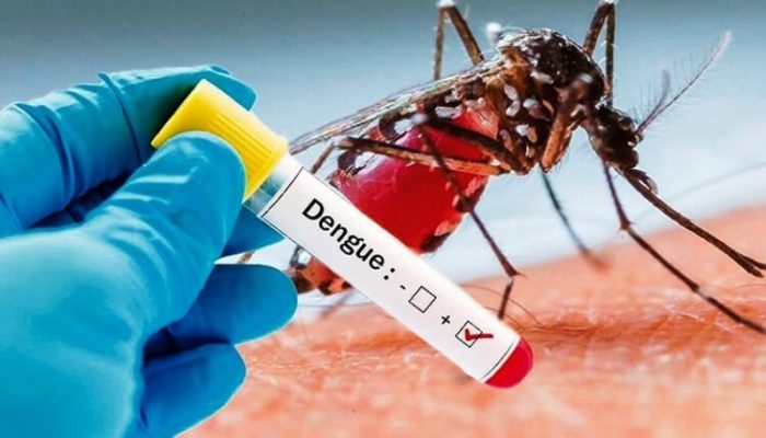 Dinkes Natuna Himbau Masyarakat Waspadai Penyakit DBD
