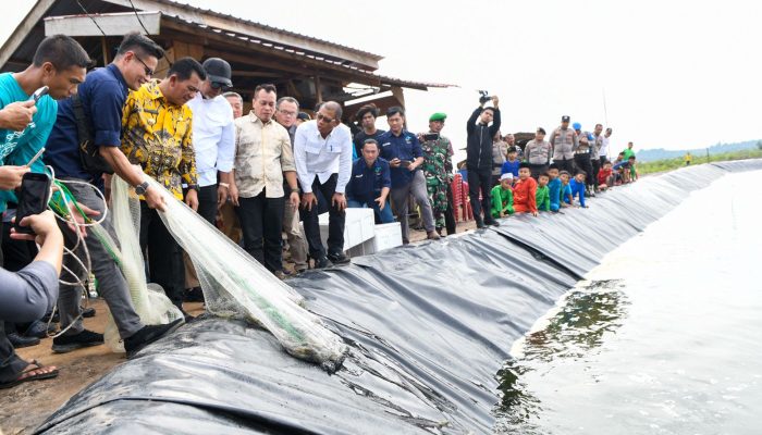 Kunker di Lingga, Gubernur Ansar Apresiasi Budidaya Udang Vaname di Desa Tinjul