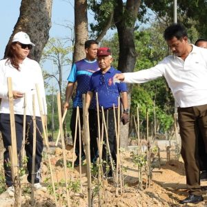 BP Batam Terus Melaju Wujudkan Batam Hijau dan Asri