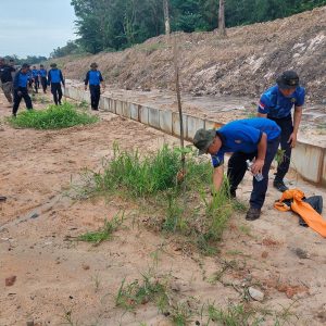 Ditpam BP Batam Lakukan Pemupukan Pohon Jati Emas