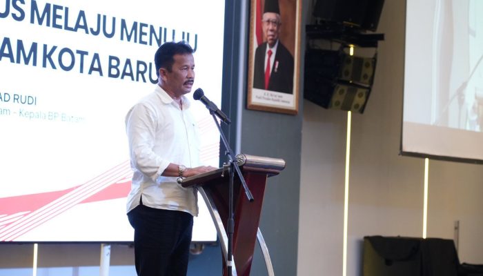 Inilah Sejumlah Proyek Pembangunan Infrastruktur Digesa BP Batam Tahun 2024