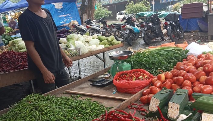 Harga Tomat dan Bawang Merah Impor Melonjak Di Pasaran 