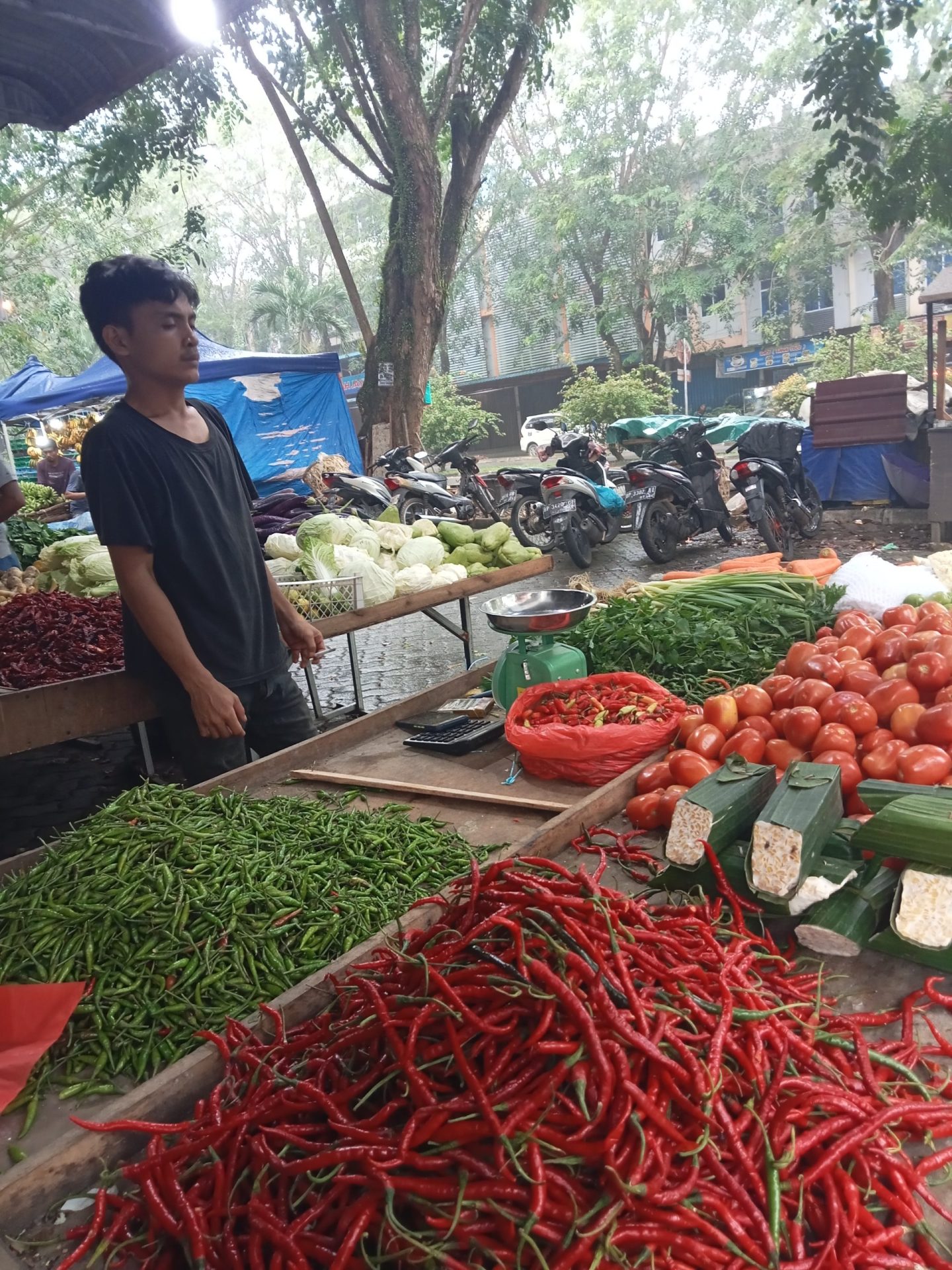 Harga Tomat dan Bawang Merah Impor Melonjak Di Pasaran 
