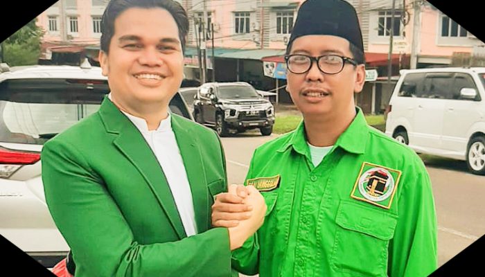 4 Program Unggulan Caleg DPRD Tanjungpinang Dari Partai PPP, Rony Nainggolan