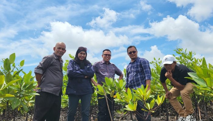 Sambut HPN 2024, PWI Kepri Siapkan Penanaman 50 Ribu Bibit Mangrove Di Bintan