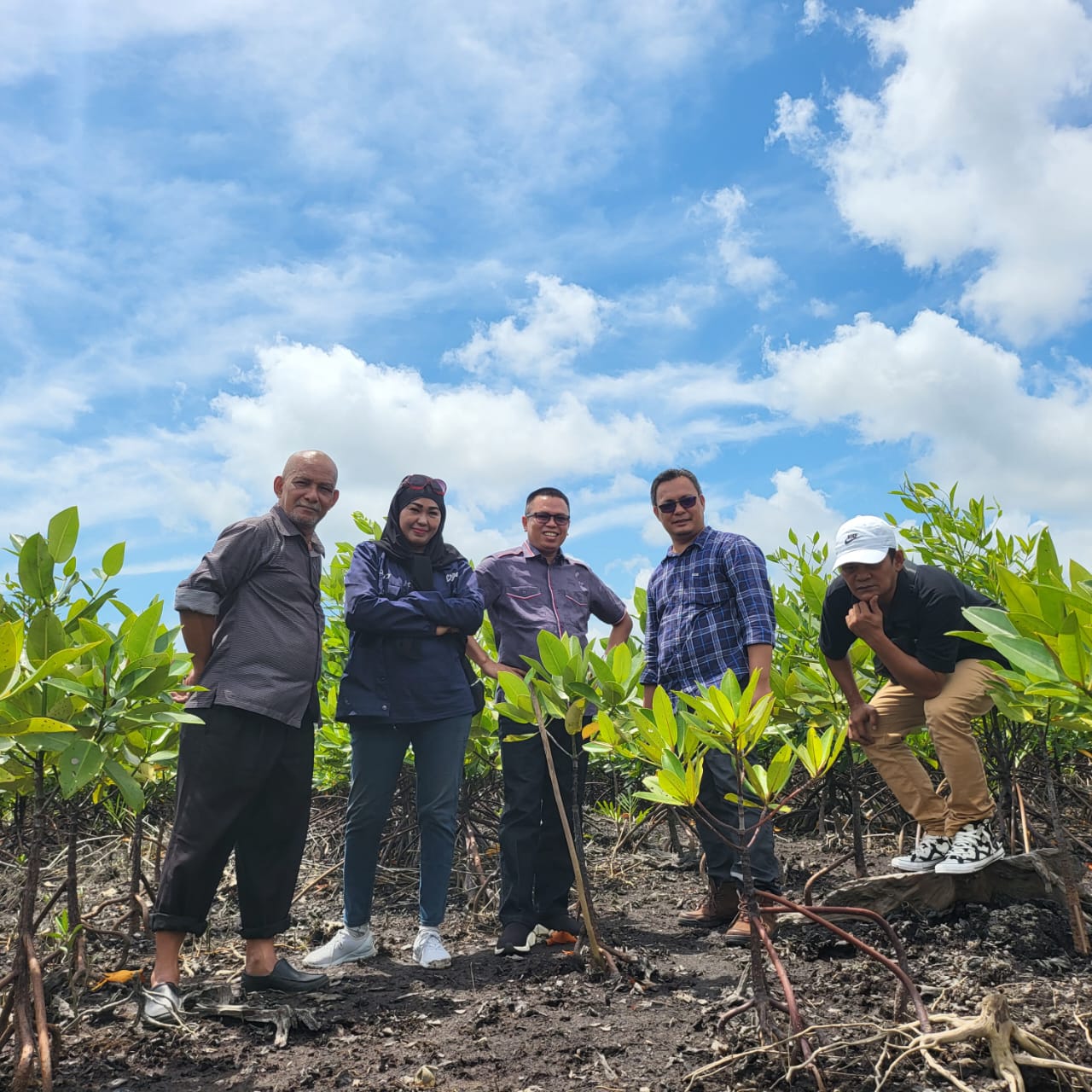 Sambut HPN 2024, PWI Kepri Siapkan Penanaman 50 Ribu Bibit Mangrove Di Bintan