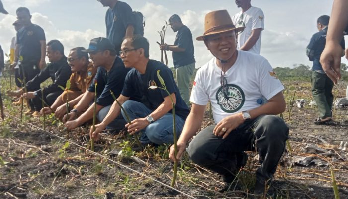 Tanam 50 Ribu Pohon Mangrove, PWI Kepri Gandeng Ricoh Group dan YL Forest City Ltd