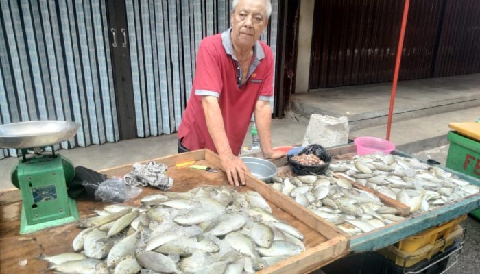 Perayaan Imlek 2575, Harga Ikan Dingkis Bertelur Tembus Rp250 Ribu Per Kg