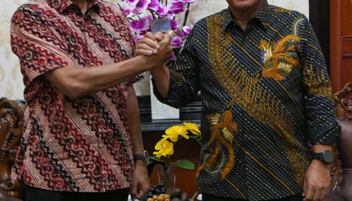 Gubernur Ansar Terima Kunjungan GM PT PLN Persero WRKR Yang Baru