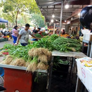 Harga Sayur Merosot Tajam di Tanjungpinang, Kangkung Rp5 Ribu Per Kg