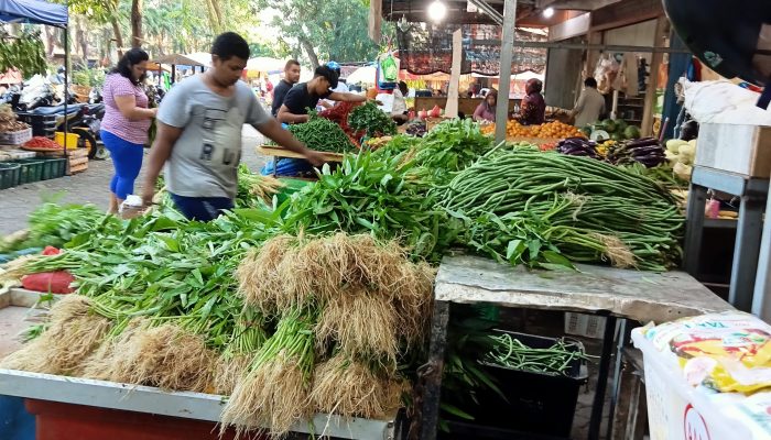 Harga Sayur Merosot Tajam di Tanjungpinang, Kangkung Rp5 Ribu Per Kg