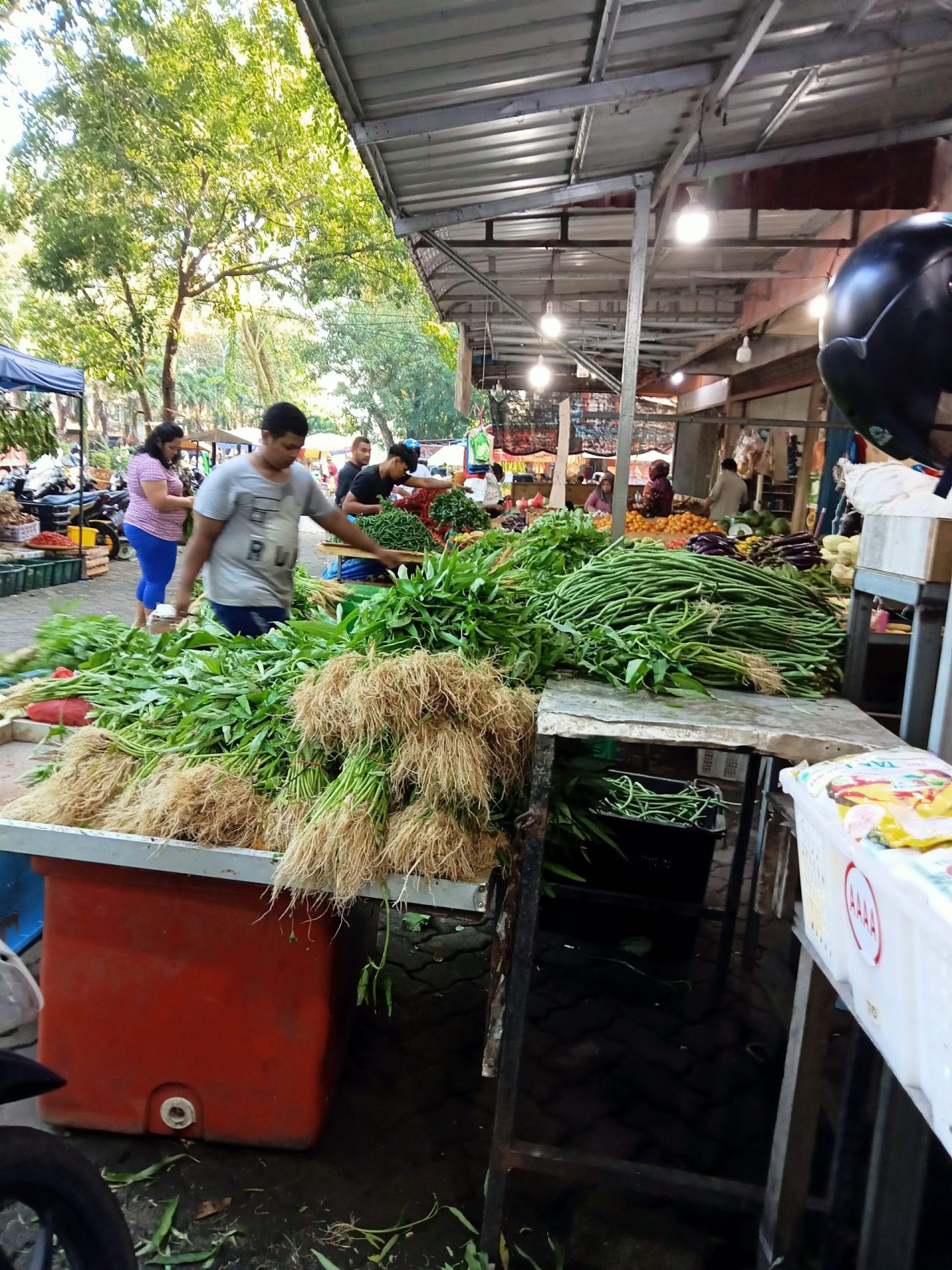Harga Sayur Merosot Tajam di Tanjungpinang, Kangkung Rp5 Ribu Per Kg