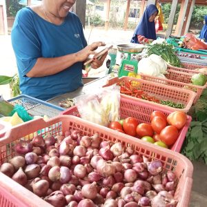 Jelang Imlek, Harga Tomat Melonjak dan Cabe Hijau Sulit Ditemui di Pasaran