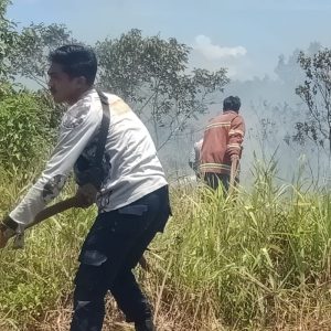 Damkar Natuna Padamkan Kebakaran Lahan Di Tegul Laksamana