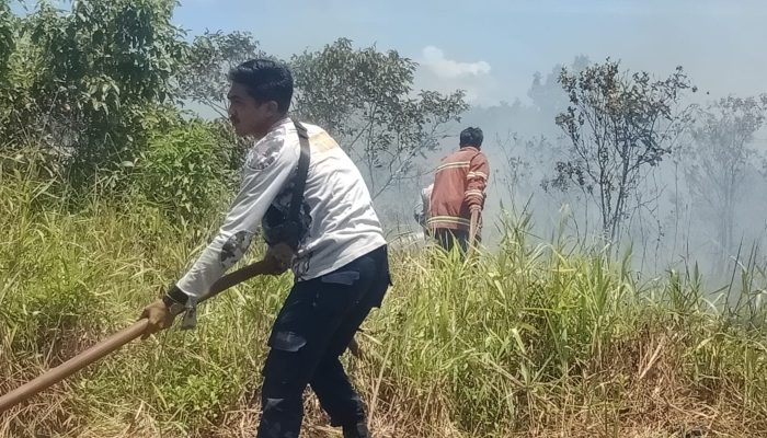 Damkar Natuna Padamkan Kebakaran Lahan Di Tegul Laksamana