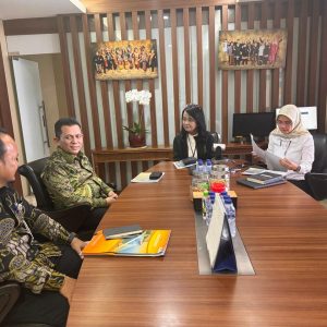 Penataan Pulau Penyengat, Gubernur Ansar Bertemu Dirjen Cipta Karya Kementerian PUPR