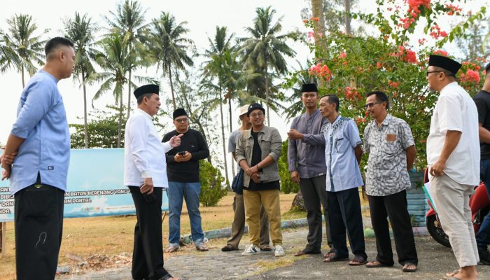 Gubernur Ansar Gagas Rencana Hidupkan Kembali Taman Kota Bintan Utara di Sakera