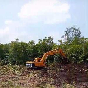 Ijin Belum Terbit, Pembuatan Tambak Udang di Pengujan Resahkan Nelayan