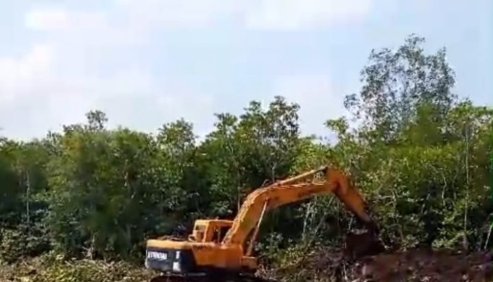 Ijin Belum Terbit, Pembuatan Tambak Udang di Pengujan Resahkan Nelayan