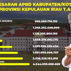 Berikut Cara Gubernur Ansar Atasi Ketimpangan di Tengah Minimnya Anggaran