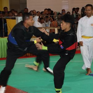 Pencak Silat Negeri Jiran Malaysia dan IPSI Tanjungpinang Pemenang Kapolda Kepri Cup 2024