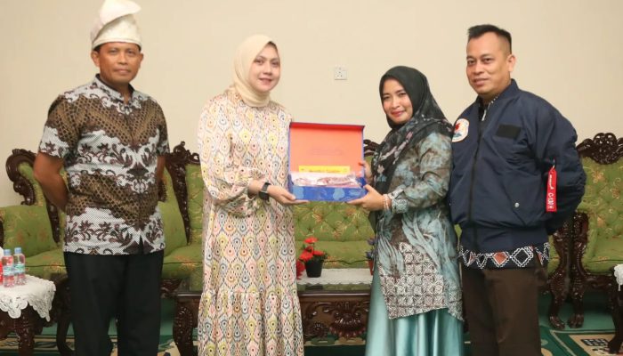 Perkuat Sinergitas, Danlanud RHF dan Ketua Pia Ardhya Garini Cab.13/D.I Lanud RHF Kunjungi Lingga