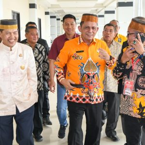 Muswil IV BPW KKSS Kepri, Gubernur Ansar Berharap Warga Sulsel Turut Majukan Daerah