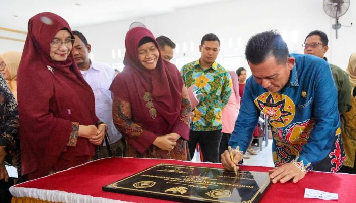 Upaya Tekan AKI dan AKB, Gubernur Ansar Melaunching Gesa Buana
