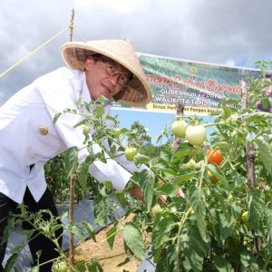 Kendalikan Inflasi, Pj Wako Hasan Masifkan ASN Bertanam Hortikultura 